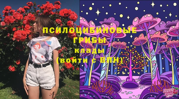 дмт Белокуриха