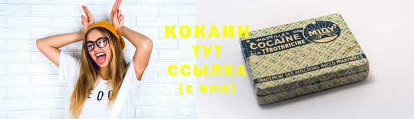 дмт Белокуриха