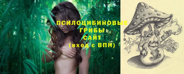 дмт Белокуриха