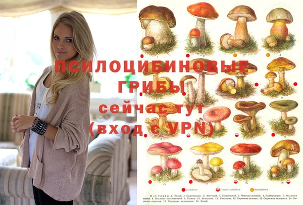 ECSTASY Белоозёрский