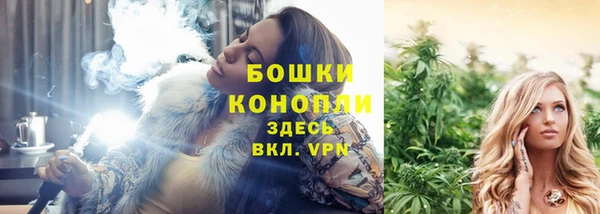 дмт Белокуриха