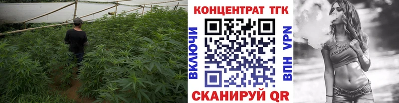 ОМГ ОМГ зеркало  Покровск  ТГК жижа 