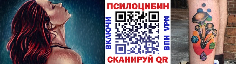 Псилоцибиновые грибы GOLDEN TEACHER цена Покровск